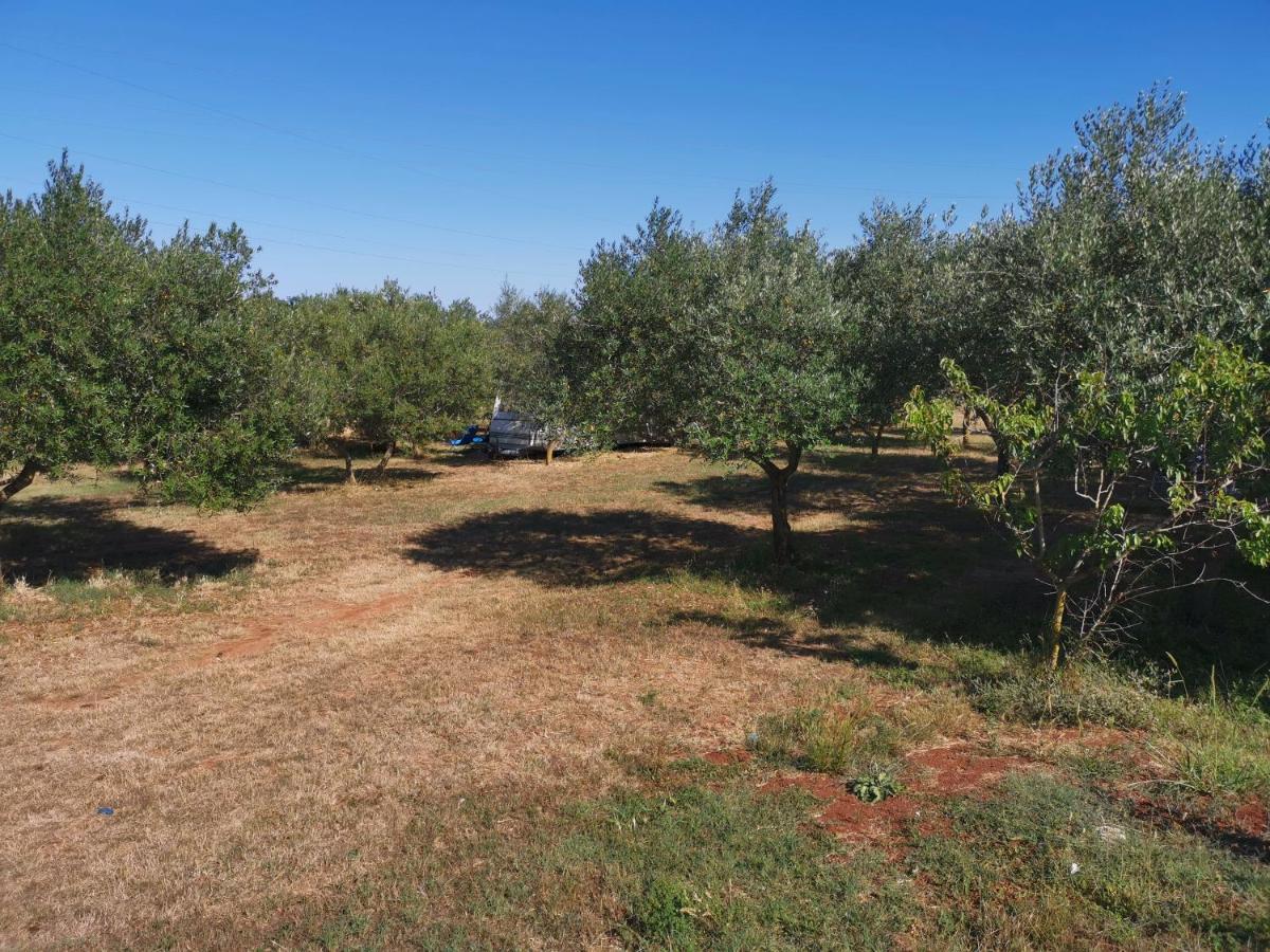 Jacuzi Cottage In The Olive Grove Pula Buitenkant foto