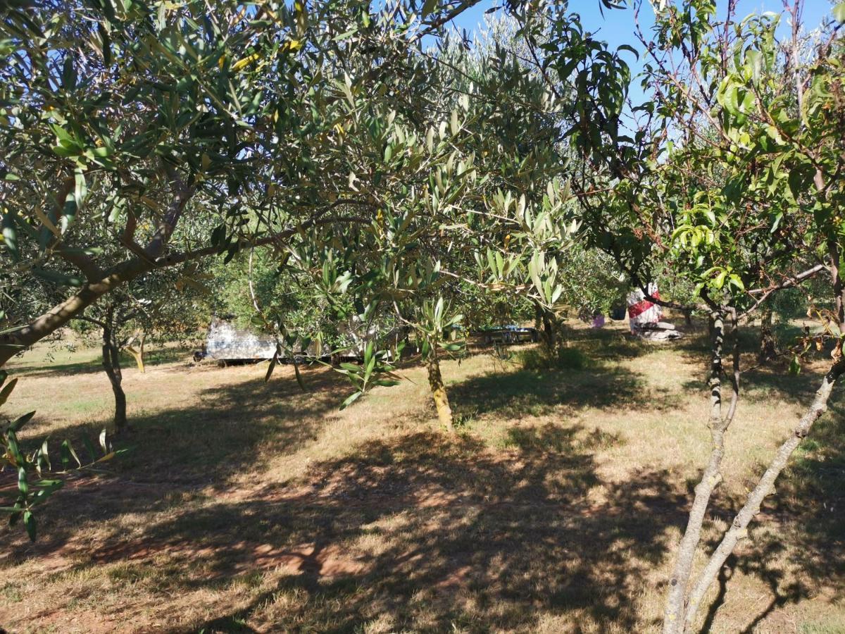 Jacuzi Cottage In The Olive Grove Pula Buitenkant foto