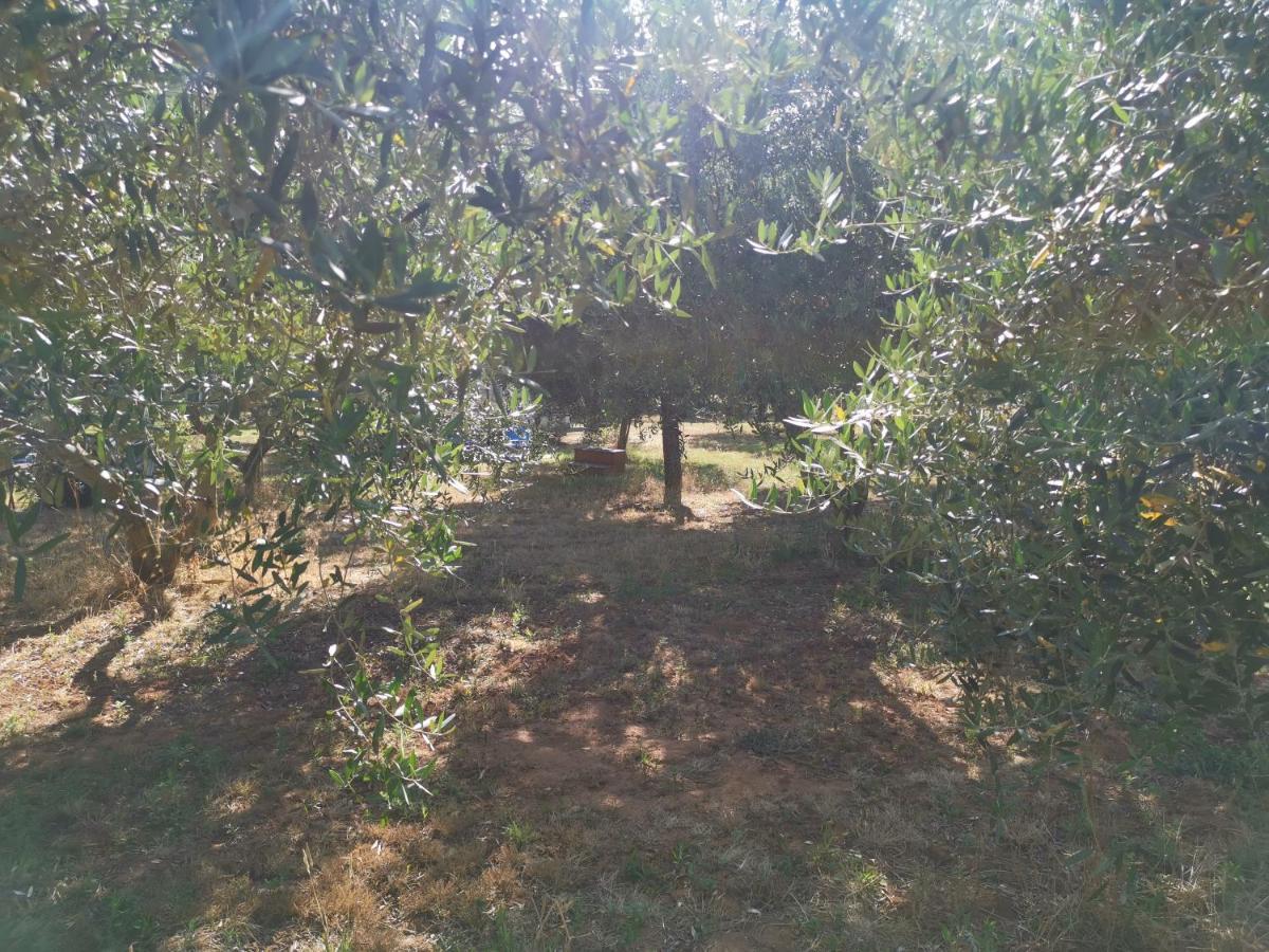 Jacuzi Cottage In The Olive Grove Pula Buitenkant foto