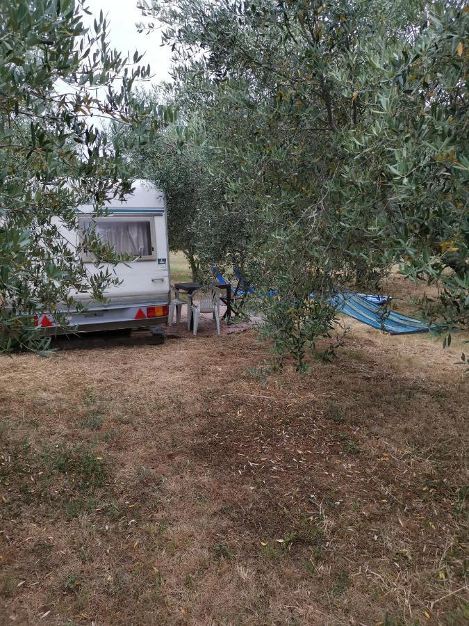 Jacuzi Cottage In The Olive Grove Pula Buitenkant foto