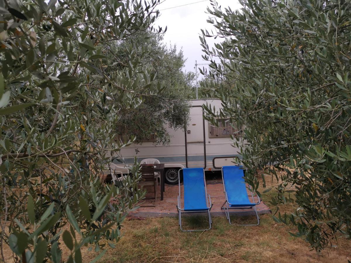 Jacuzi Cottage In The Olive Grove Pula Buitenkant foto