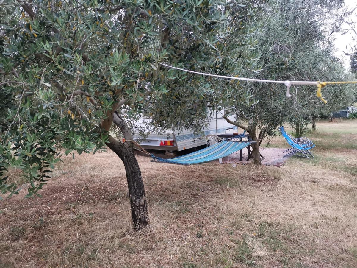 Jacuzi Cottage In The Olive Grove Pula Buitenkant foto