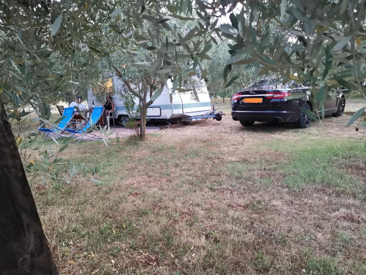 Jacuzi Cottage In The Olive Grove Pula Buitenkant foto