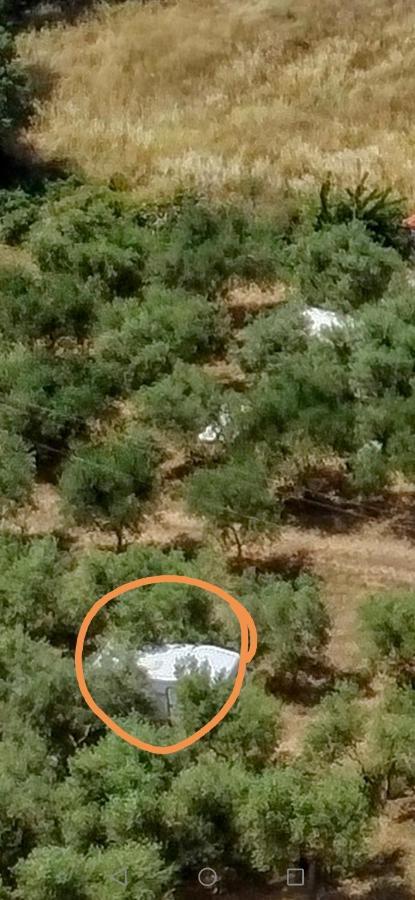 Jacuzi Cottage In The Olive Grove Pula Buitenkant foto