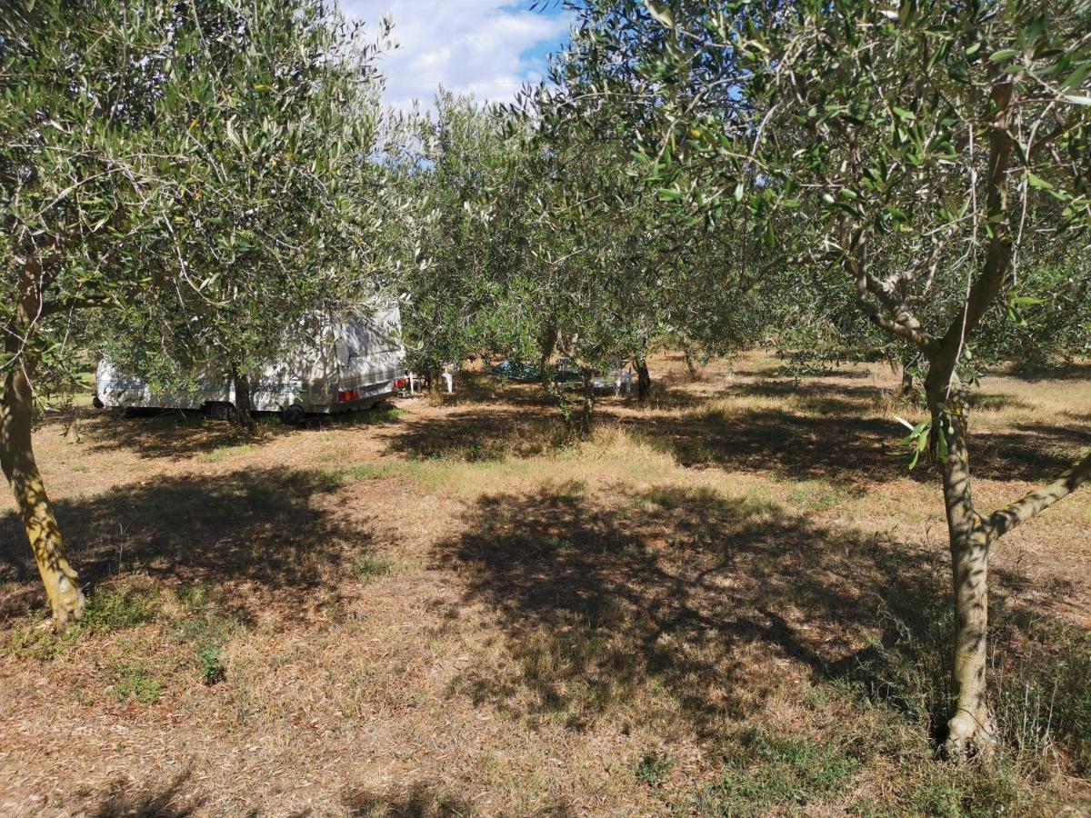 Jacuzi Cottage In The Olive Grove Pula Buitenkant foto