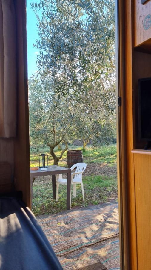 Jacuzi Cottage In The Olive Grove Pula Buitenkant foto