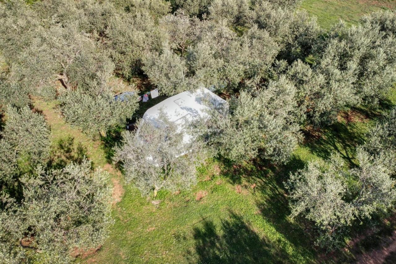 Jacuzi Cottage In The Olive Grove Pula Buitenkant foto